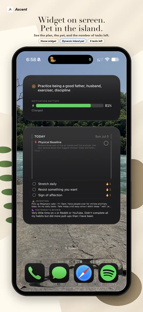 Widget on screen, pet in the Dynamic Island